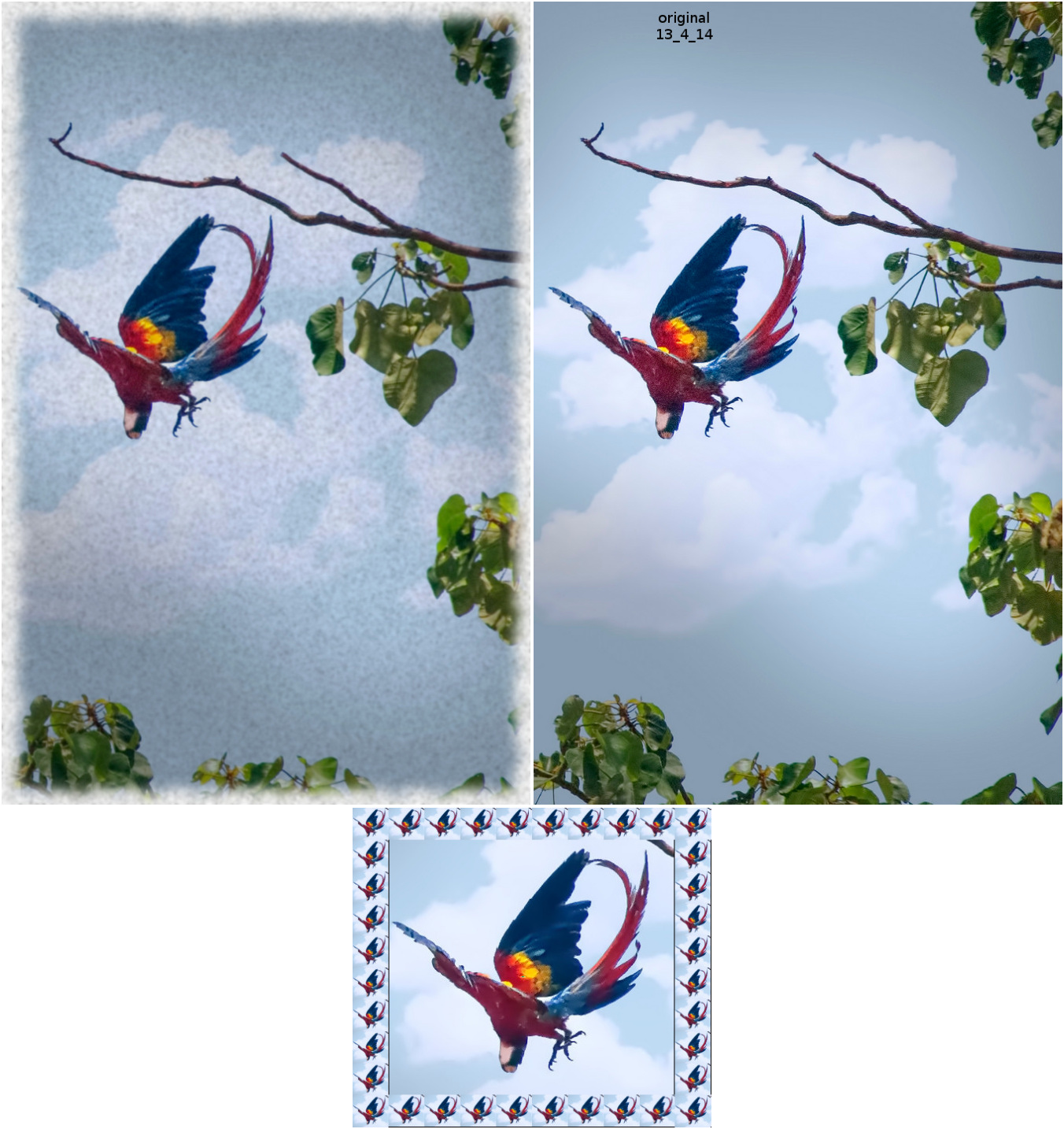 Image